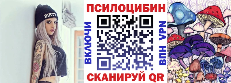 Псилоцибиновые грибы мицелий  наркота  Кочубеевское 